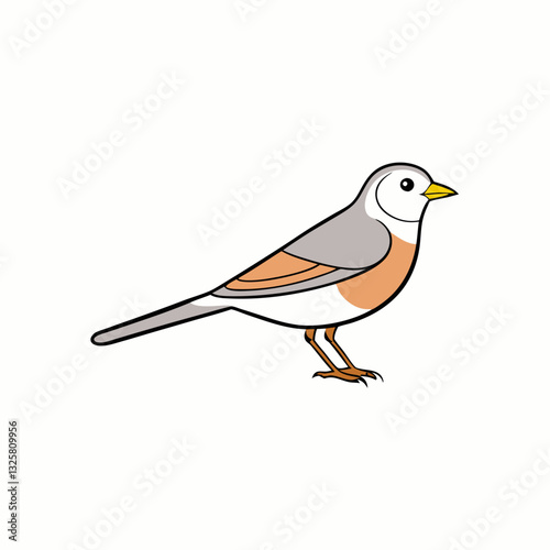 pipit on a branch