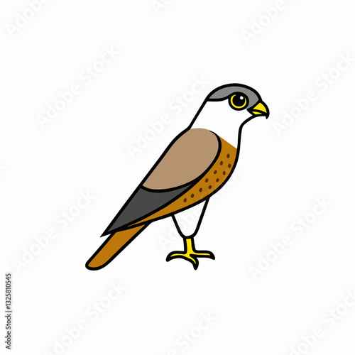 sparrowhawk isolated on white