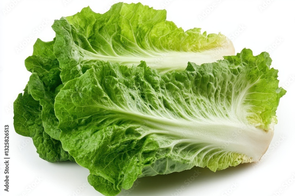 Fresh Green Romaine Lettuce Leaves with Crisp Texture for Healthy Eating and Cooking Ideas Fresh Green Romaine Lettuce Leaves with Crisp Texture for Healthy Eating and Cooking Ideas