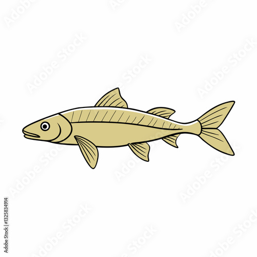 barbel fish vector illustration