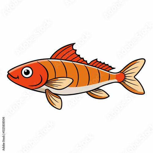 rudd fish on a white background