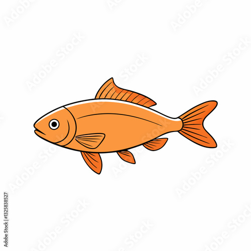 rudd fish on a white background