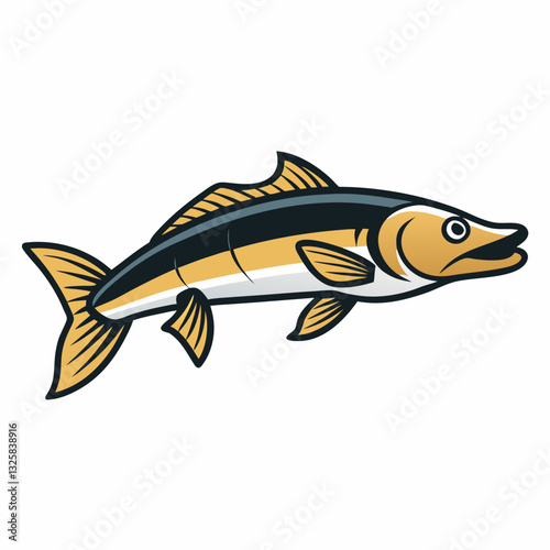 snook fish vector illustration