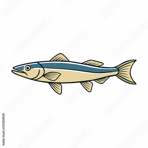 snook fish vector illustration