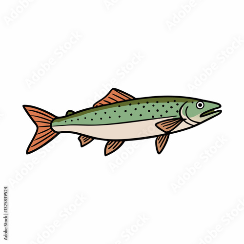 vector illustration of a trout fish