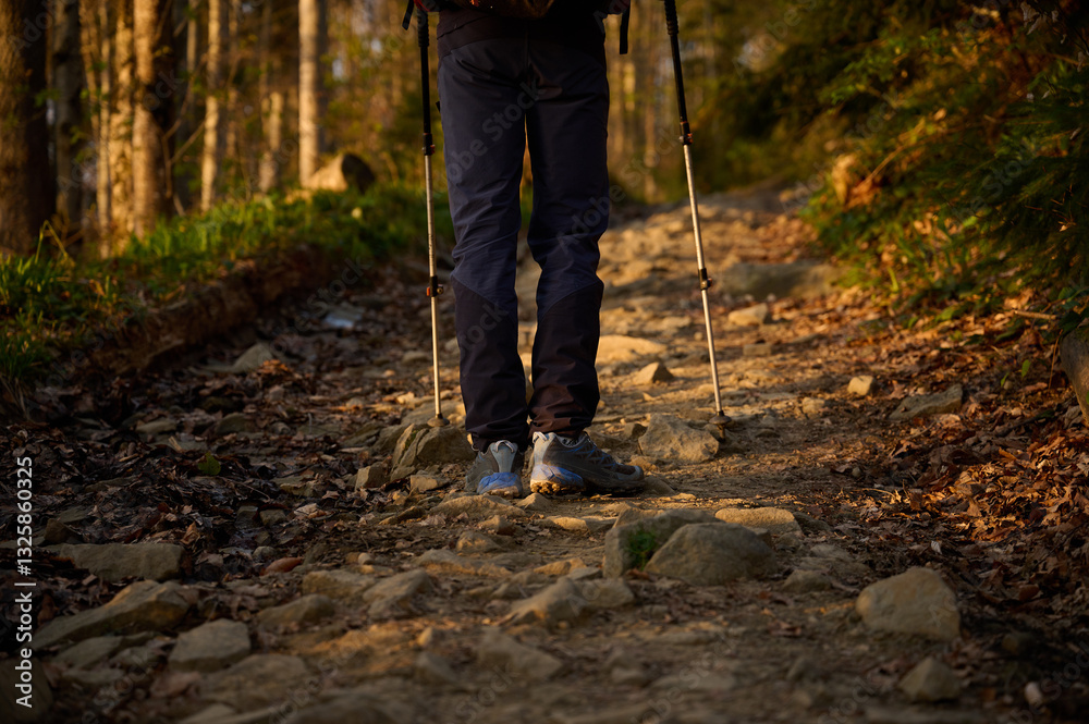 Crop view of the hiker walking in the forest and enjoying sunrise early in the morning in the mountains. Close up view of the feet. Crop view of the hiker walking in the forest and enjoying sunrise early in the morning in the mountains. Close up view of the feet.