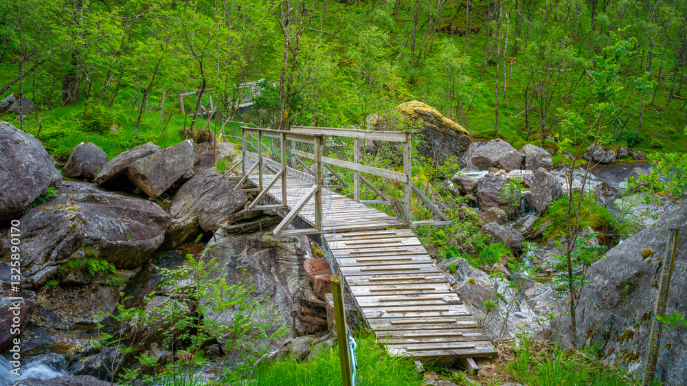 Obraz premium Holzbrücke im Naturparadies Eidslandet in Norwegen