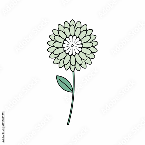 vector illustration of a sea thrift flower