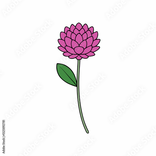 vector illustration of a sea thrift flower