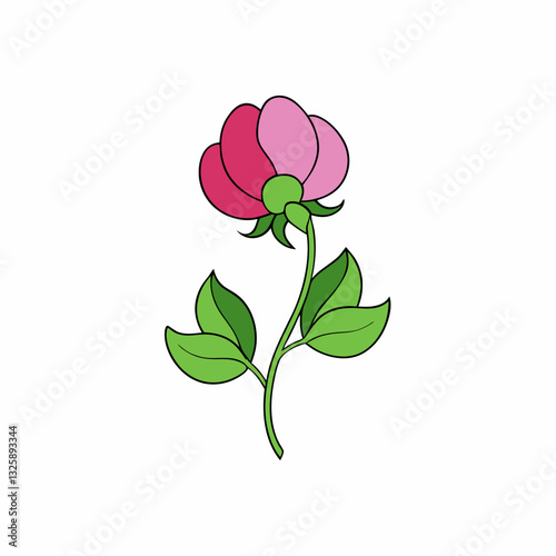 vector illustration of a sweet pea flower