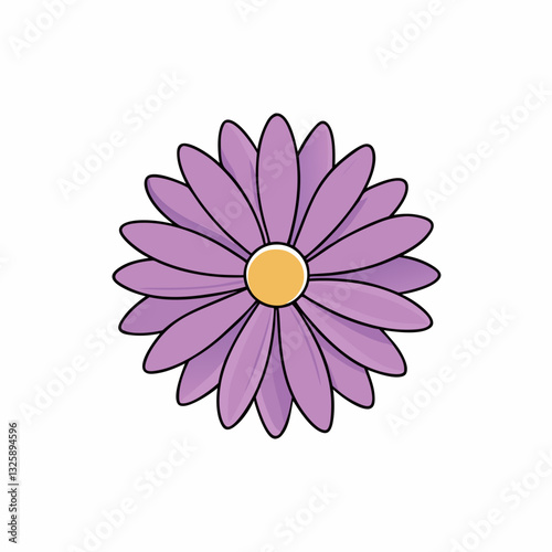 aster flower on white background