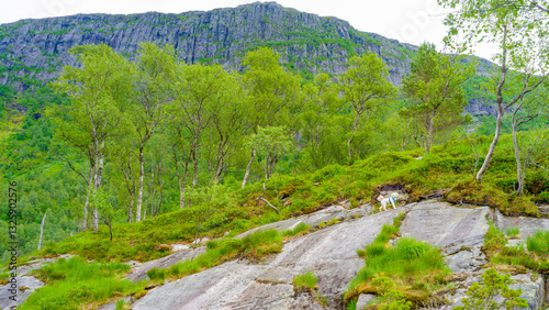 Obraz na płótnie Impressionen vom Naturparadies Eidslandet in Norwegen w salonie