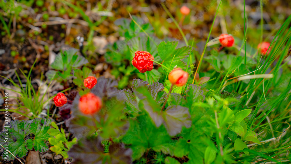 Impressionen vom Naturparadies Eidslandet in Norwegen