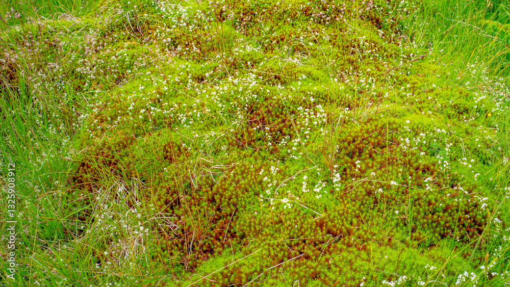 Impressionen vom Naturparadies Eidslandet in Norwegen