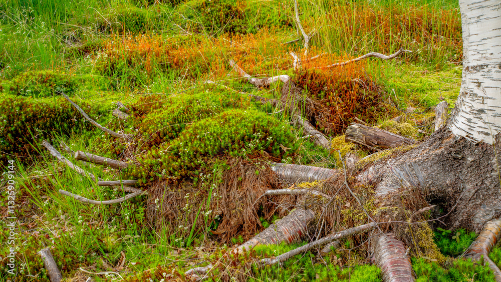 Impressionen vom Naturparadies Eidslandet in Norwegen