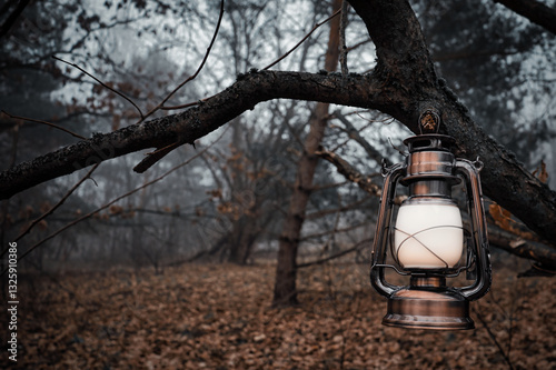 old lantern in the park