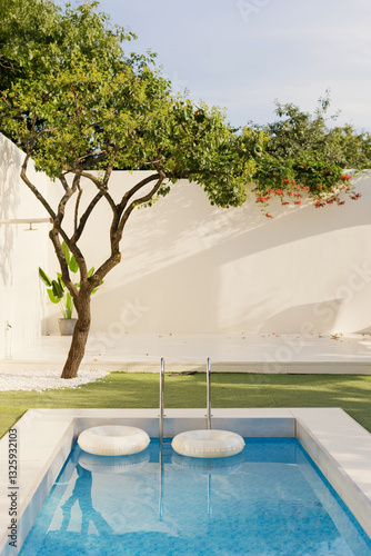 Backyard with modern swimming pool