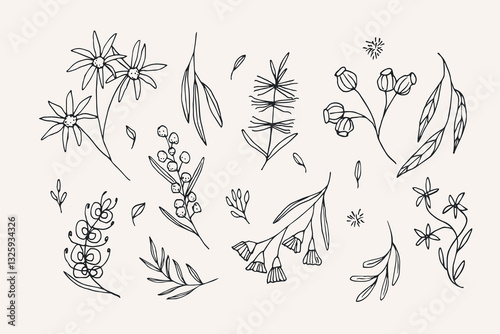 Hand drawn doodle Australan flowers and plants