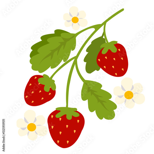 Strawberries with flowers vector Illustration isolated on a white background