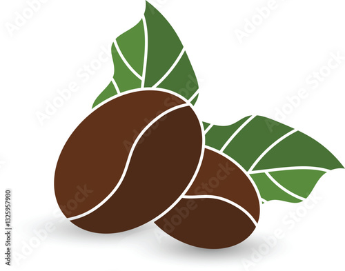 organic coffee beans leaf vector