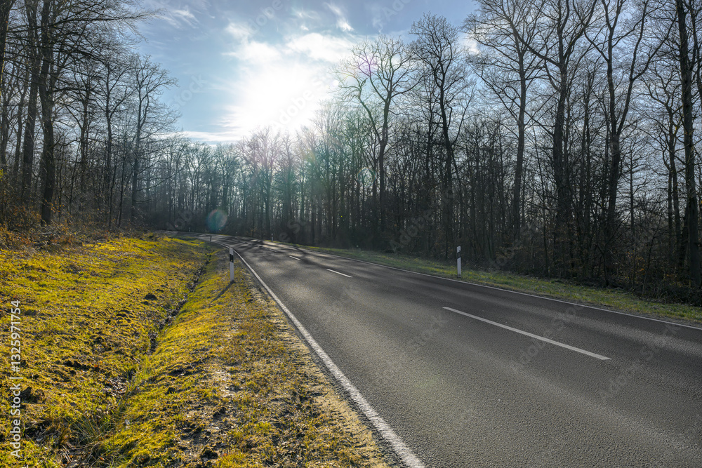country road germany palatinate in fall backlight without car