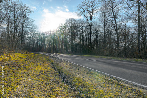 country road germany palatinate in fall backlight without car