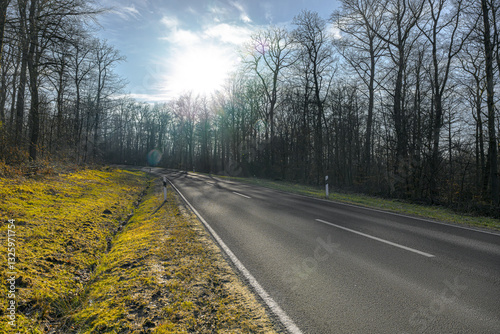 Obraz na płótnie country road germany palatinate in fall backlight without car w salonie