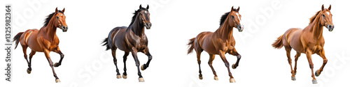 Majestic Equine Elegance A Collection of Powerful Horses Galloping Across Open Fields Showcasing Their Unbridled Grace Strength and Spirited Movement