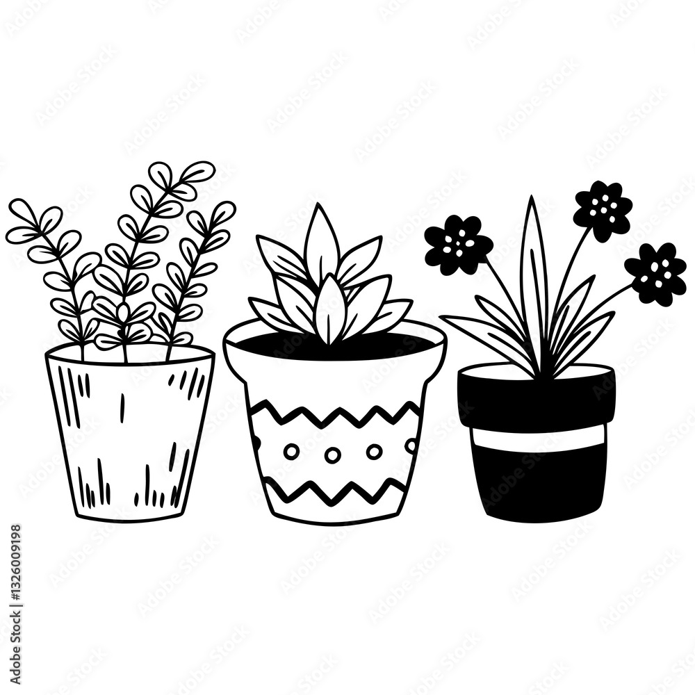 Fototapeta premium flowers in pot