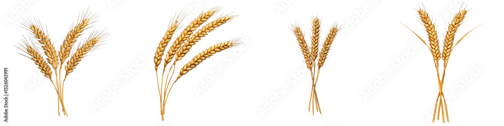 Golden wheat stalks arranged artistically on a dark background. Golden wheat stalks arranged artistically on a dark background.