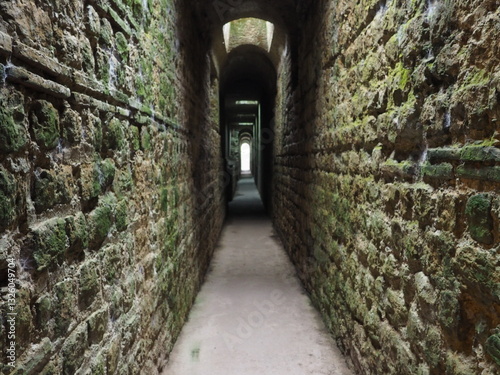 Römische und antike Trierer Kaiserthermen
