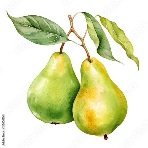 Digital technology pear watercolor design illustration