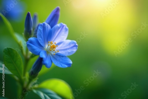 A Single Blue Flower Blossoms in the Sunlight, Its Petals Delicately Unfurling in a Vibrant Green Garden Setting