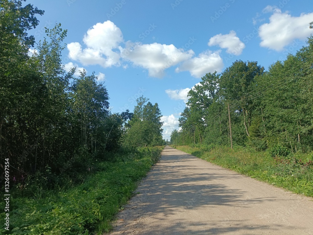 Road in forest in Siauliai county during sunny summer day. Oak and birch tree woodland. Sunny day with white clouds in sky. Bushes are growing in woods. Sandy road. Nature. Summer season. Miskas. Road in forest in Siauliai county during sunny summer day. Oak and birch tree woodland. Sunny day with white clouds in sky. Bushes are growing in woods. Sandy road. Nature. Summer season. Miskas.