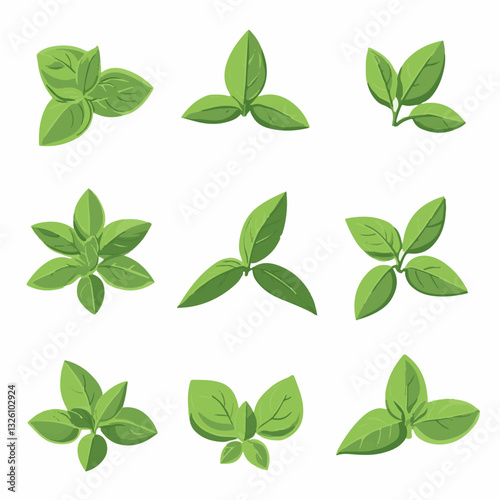 Very Simple flat 2D icon green basil branch set isolated on a white background, vector, flat design, animation design, simple flat 2D icon, minimalist design, clipart plant