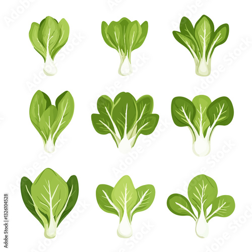 Very Simple flat 2D icon bok choy set collection with leaf isolated on a white background, vector, flat design, animation design, simple flat 2D icon, minimalist design, clipart