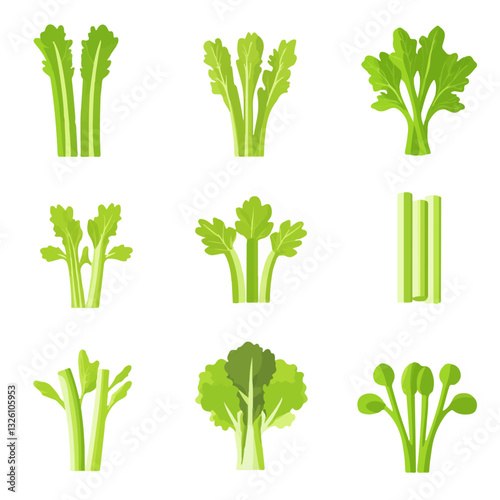 Very Simple flat 2D icon colorful celery set collection isolated on a white background, vector, flat design, animation design, simple flat 2D icon, minimalist design, clipart