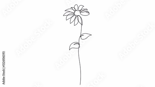 Self drawing animation of continuous single line wild flower. Trendy hand drawn line art, botanical design. 4K animated video.