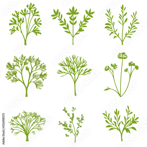 My Simple flat 2D icon dill branch collection isolated on a white background, vector, flat design, animation design, simple flat 2D icon, minimalist design, clipart