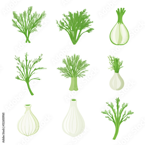 My Simple flat 2D icon fennel set collection isolated on a white background, vector, flat design, animation design, simple flat 2D icon, minimalist design, clipart