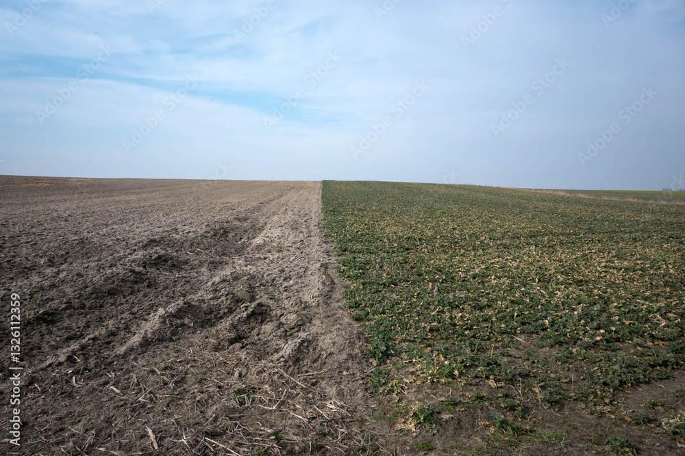 Landscape of rural fields, early spring.