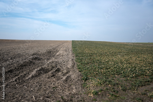 Obraz na płótnie Landscape of rural fields, early spring.
w salonie