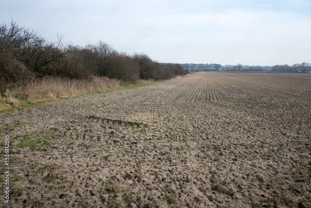 Landscape of rural fields, early spring.