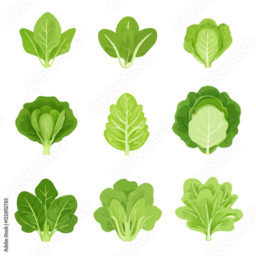 My Simple flat 2D icon green lettuce collection isolated on a white background, vector, flat design, animation design, simple flat 2D icon, minimalist design, clipart