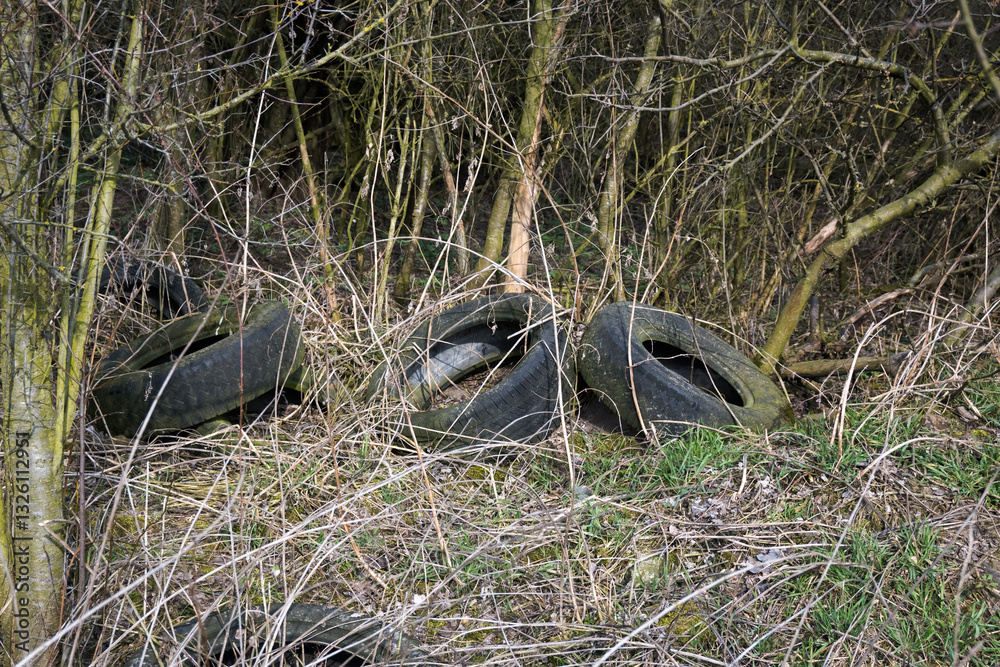 Old tires discarded in the forest, environmental pollution with human waste.