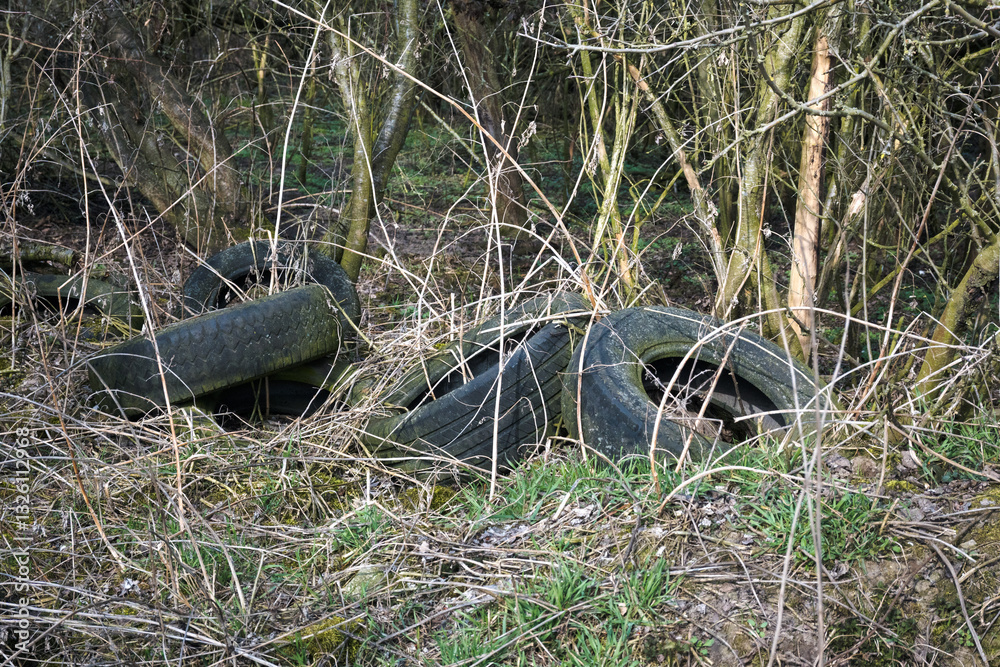 Old tires discarded in the forest, environmental pollution with human waste.