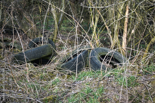 Obraz na płótnie Old tires discarded in the forest, environmental pollution with human waste.
w salonie