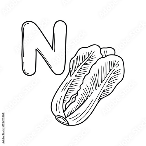 An Illustrations of Napa beside a letter N