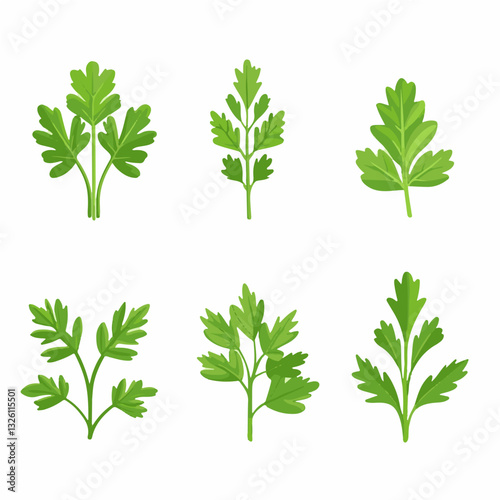 My Simple flat 2D icon parsley leaves isolated on a white background, vector, flat design, vector, flat design, animation design, flat 2D icon, minimalist design, vector