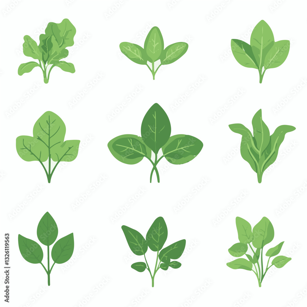 Very Simple flat 2D icon green spinach leaves set isolated on a white background, vector, flat design, vector, flat design, animation design, flat 2D icon, minimalist design, vector Very Simple flat 2D icon green spinach leaves set isolated on a white background, vector, flat design, vector, flat design, animation design, flat 2D icon, minimalist design, vector